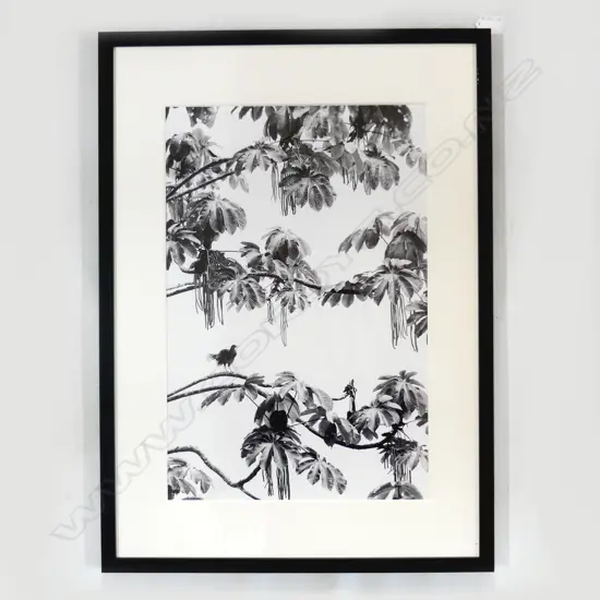 GREGORY BASCO (USA) CHACHALACASCAPE, B&W PHOTOGRAPHIC PRINT 350 X 520mm