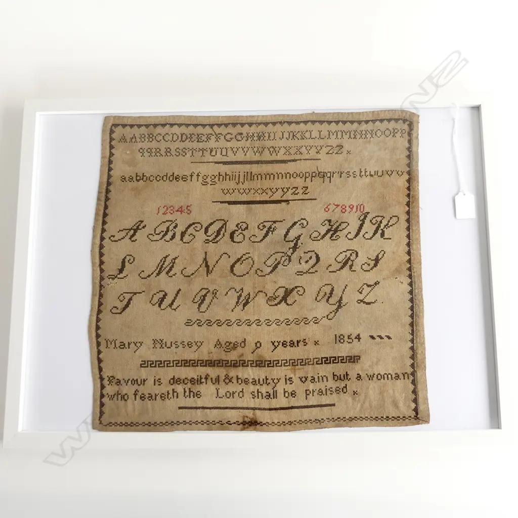 FRAMED SAMPLER; MARY NUSSEY AGED 9 YEARS 1854 400x410mm Image 1++
