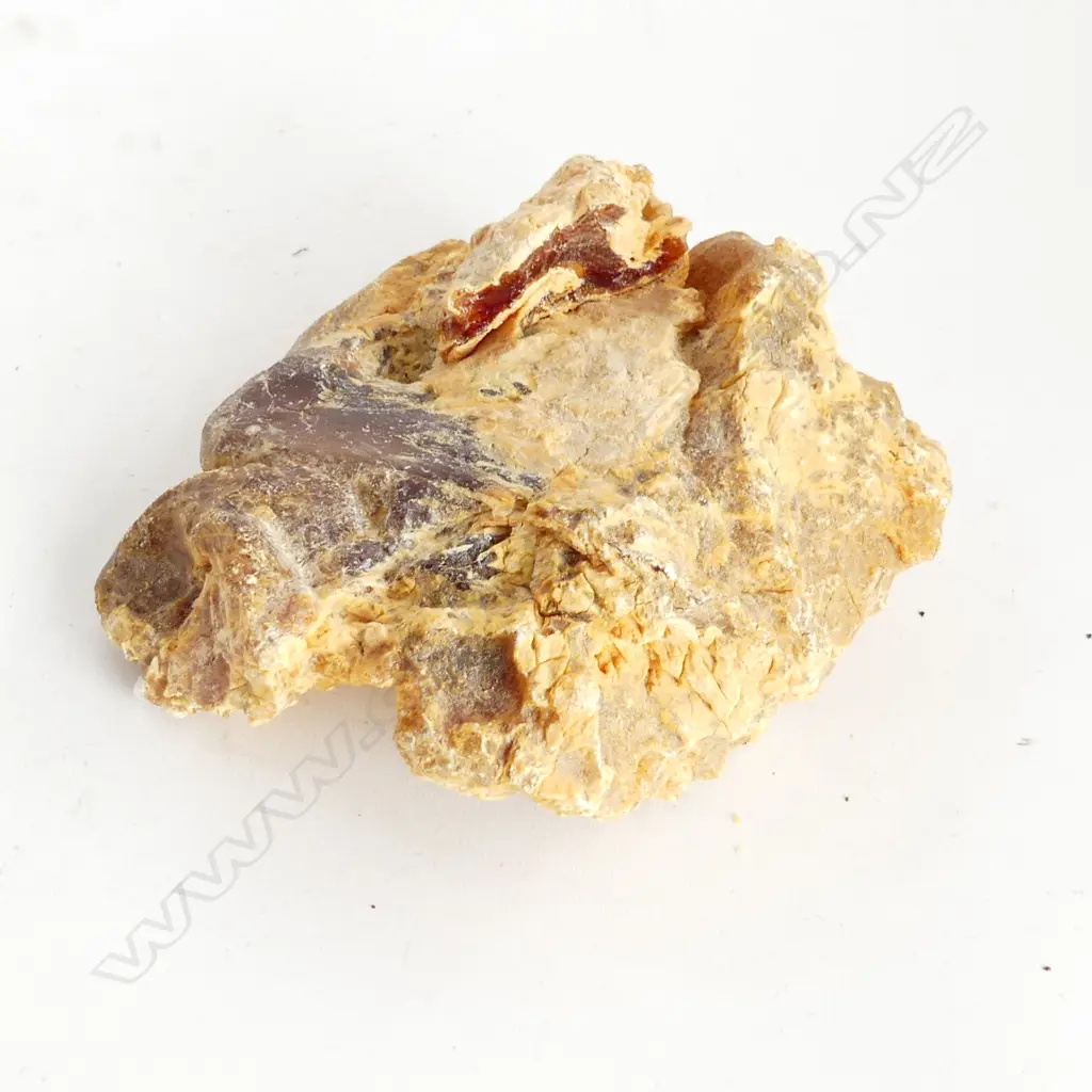 KAURI GUM,  WEIGHT 509GMS  L.140mm Image 1++