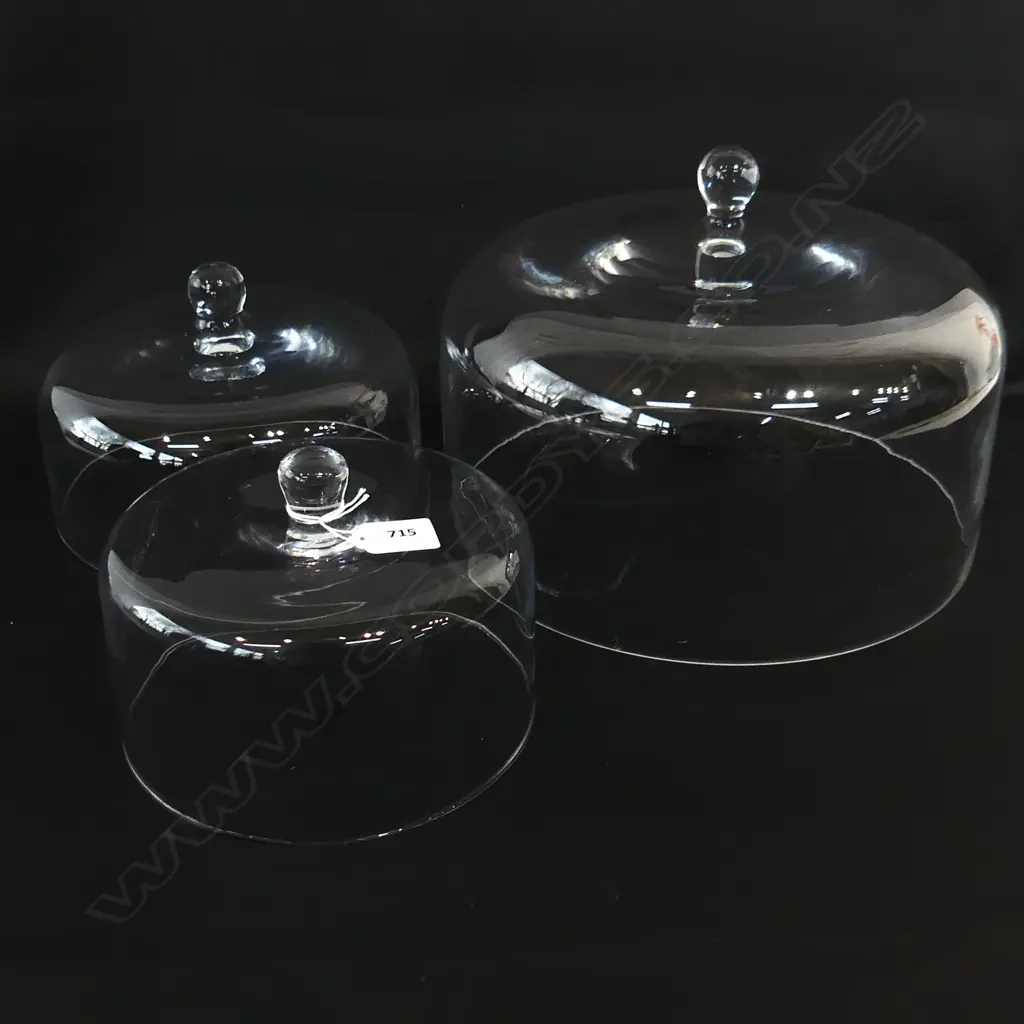 3 GLASS FOOD DOME CLOCHES 300 / 215 / 190mm dia Image 1++