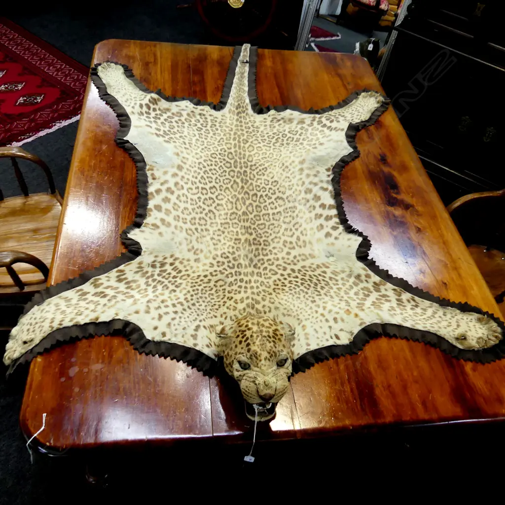 ANTIQUE LEOPARD RUG 1400x2100mm Image 1++