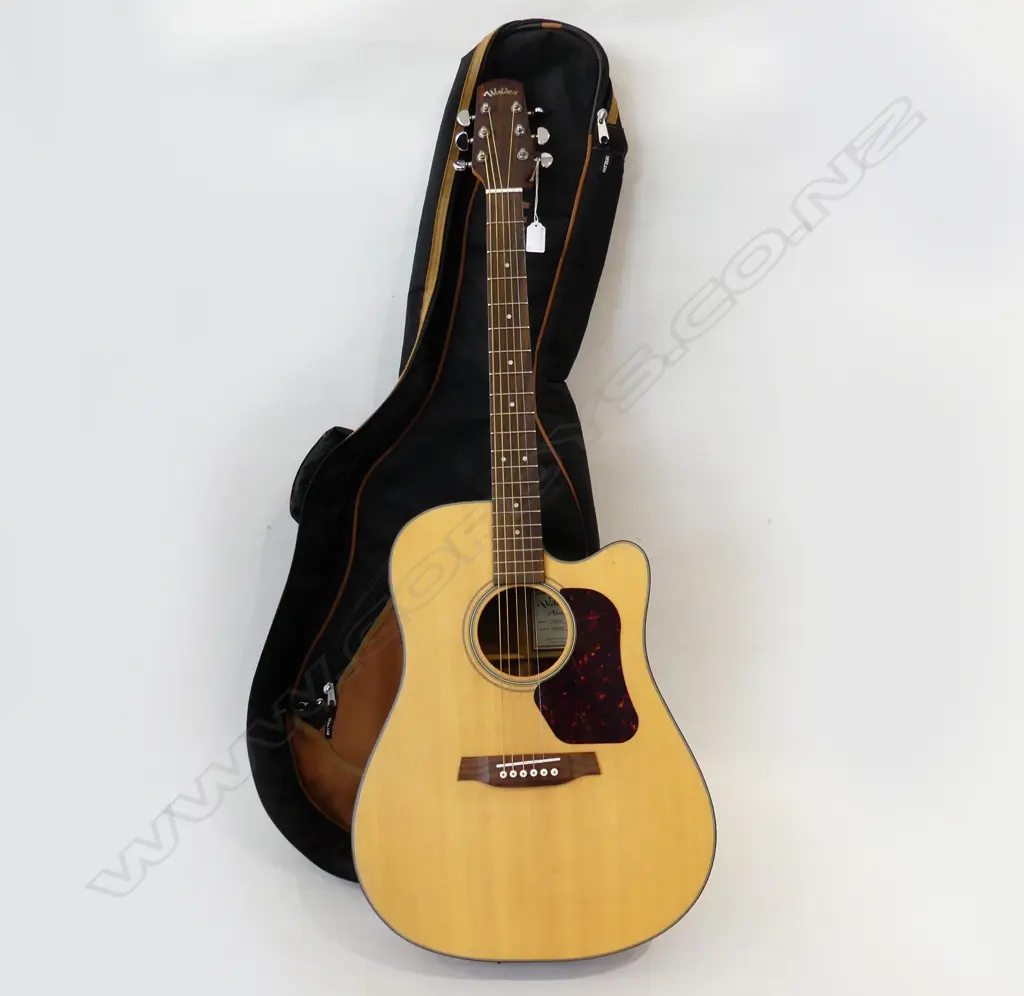 ALDEN SEMI-ACOUSTIC GUITAR + CASE ETC Image 1++