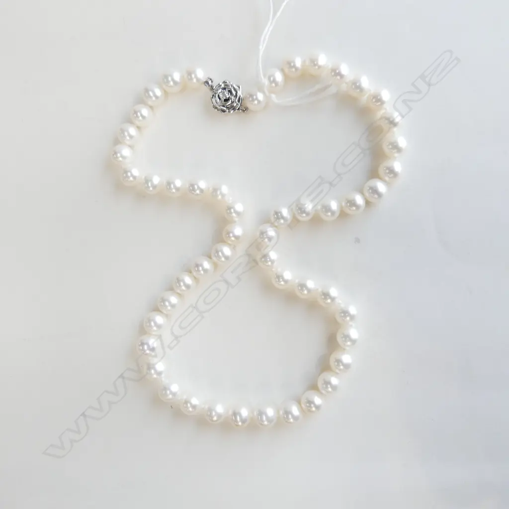 CULTURED  PEARL NECKLACE - SILVER CLASP Image 1++
