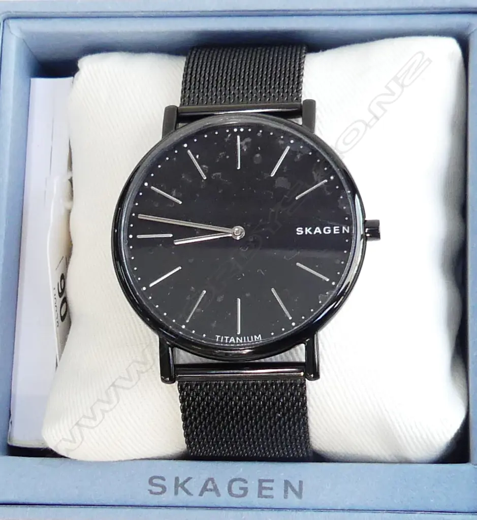 SKAGEN TITANIUM & STEEL QUARTZ WATCH, NEW WITH BOX, WORKING  Image 1++