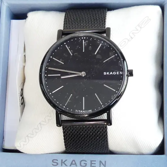 SKAGEN TITANIUM & STEEL QUARTZ WATCH, NEW WITH BOX, WORKING 