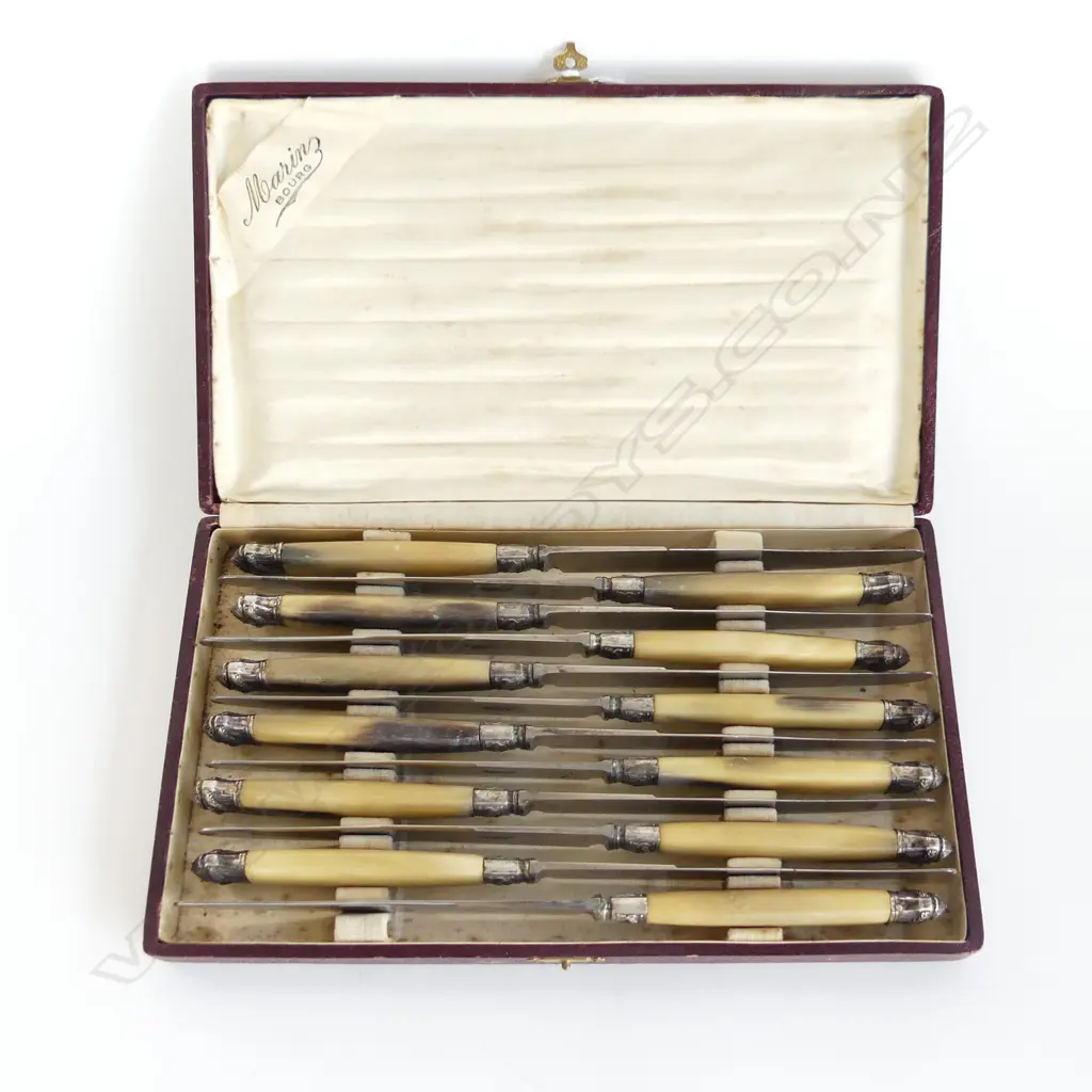 12 ANTIQUE HORN HANDLED TABLE KNIVES BY MARIN BOURG, CASED Image 1++