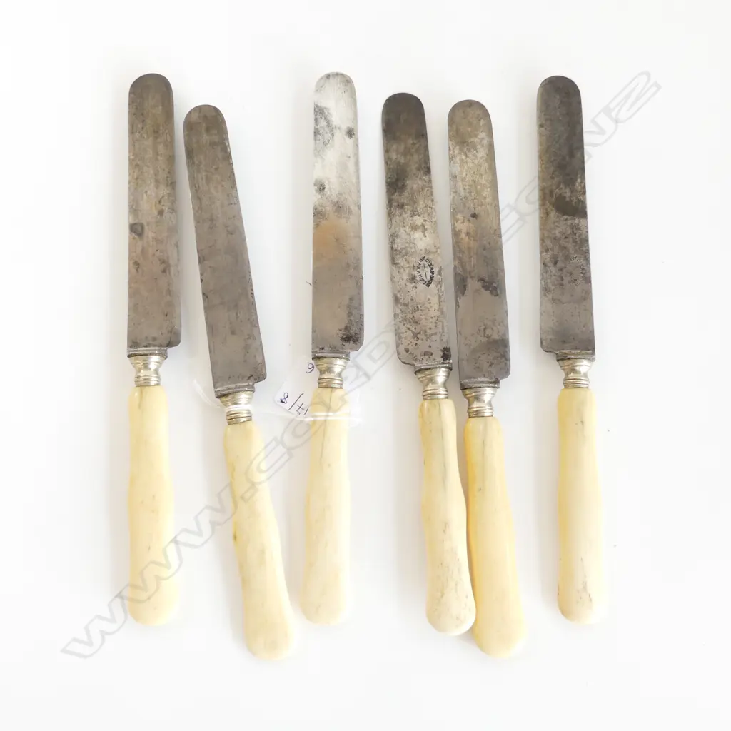 6 ANTIQUE REAL BONE HANDLED KNIVES L.240mm Image 1++