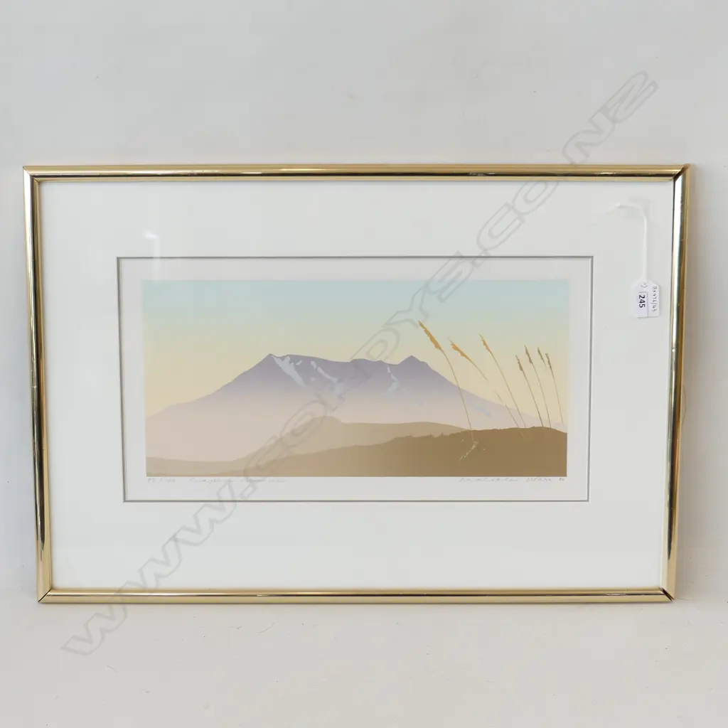 NUMBERED PRINT RUAPEHU SUMMER BY MALCOLM WARR H420 L610MM frame with fault Image 1++