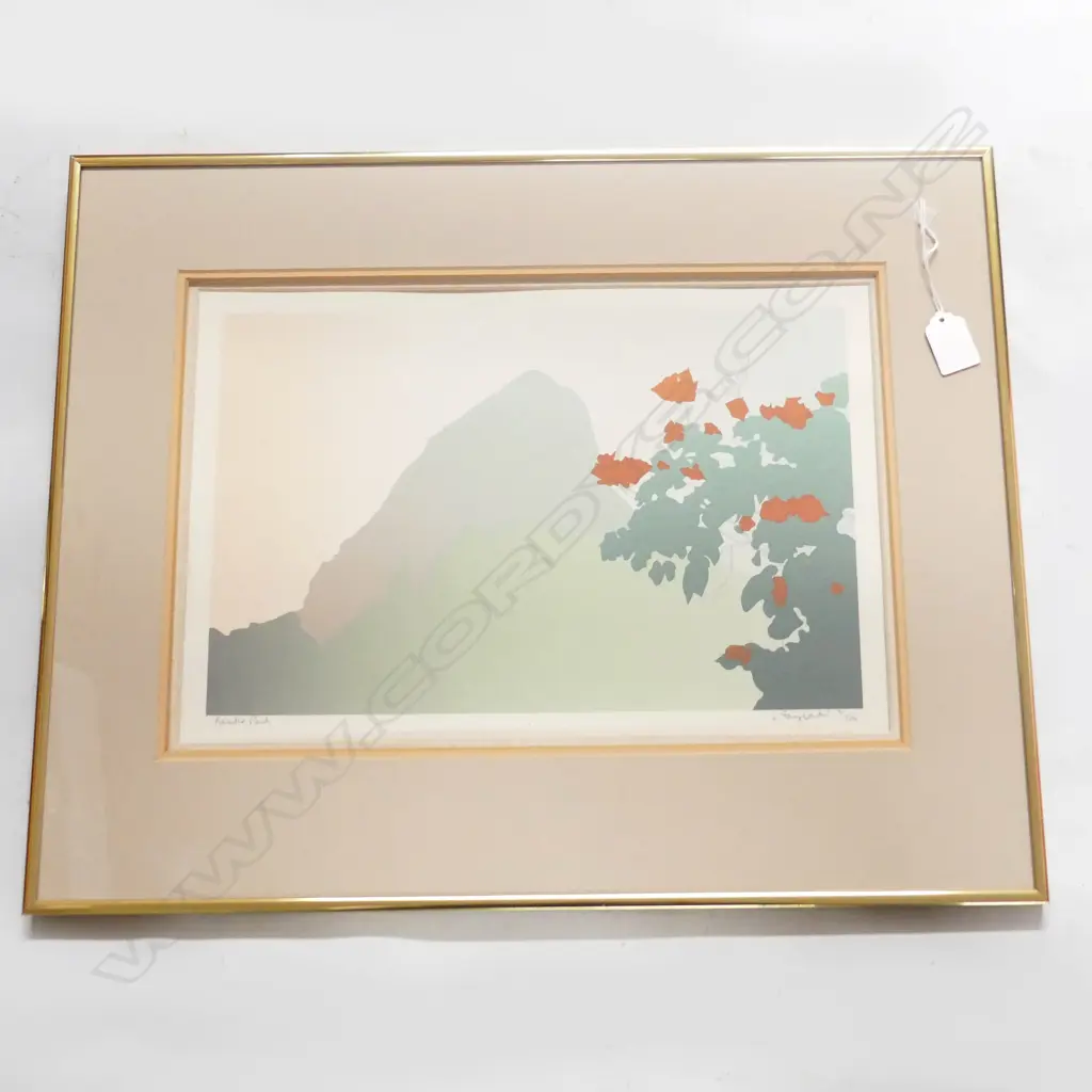 NUMBERED PRINT NEADLE PEAK SIGNED INDISTINCTLY H440 L55OMM Image 1++