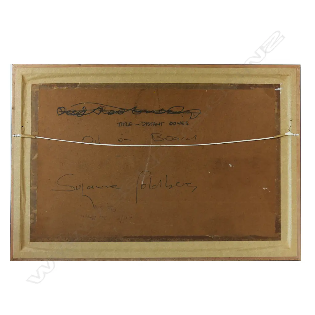 Suzanne Goldberg (1940-1999), Image 1++