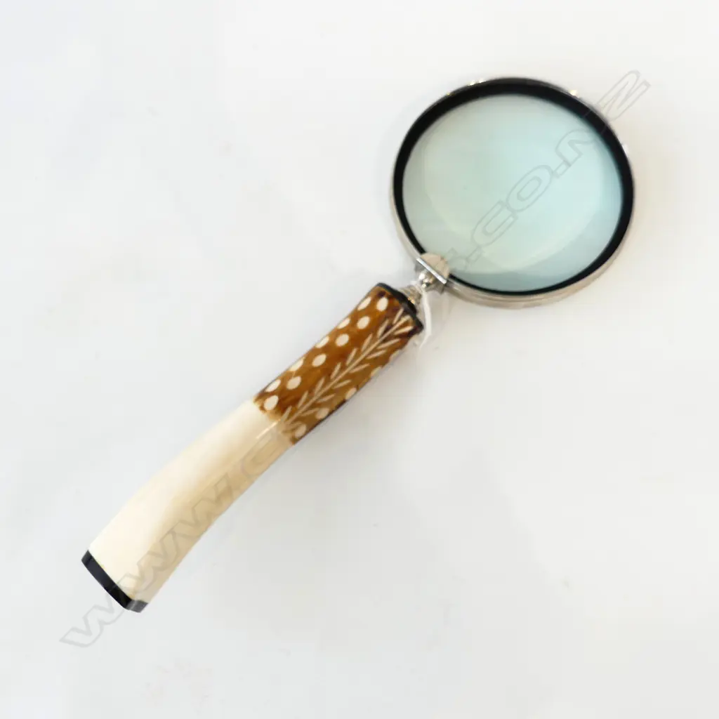 VERY LGE BONE HANDLED MAGNIFYING GLASS L.410mm Image 1++