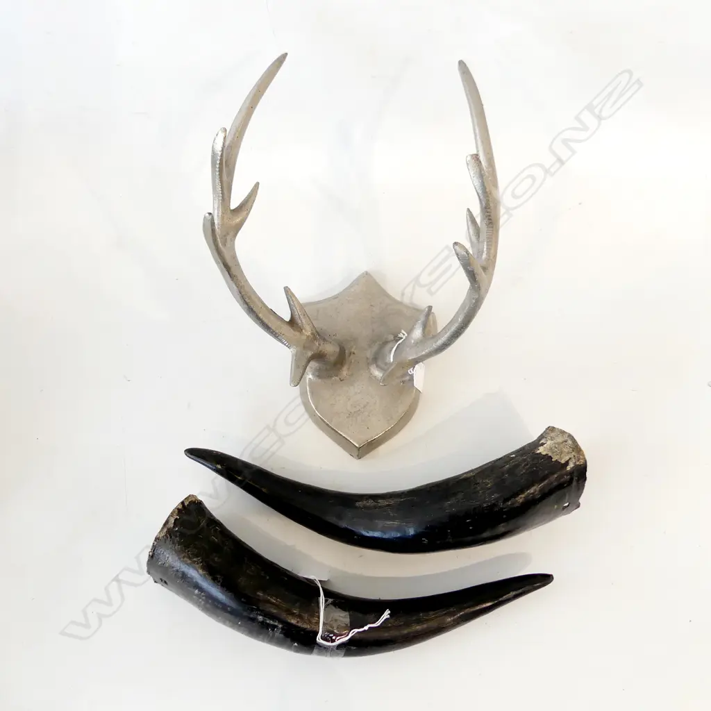 ALUMINUM FAUX ANTLER WALL MOUNT. H.270mm & TWO OX HORNS L.320mm Image 1++