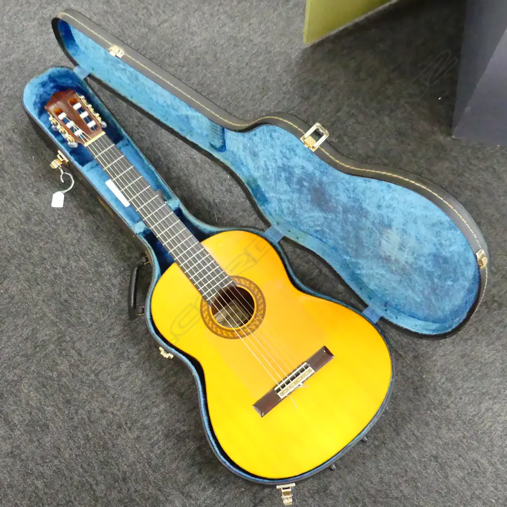 VINTAGE ACOUSTIC GUITAR 'SERENA' in Yamaha hard case Image 1++