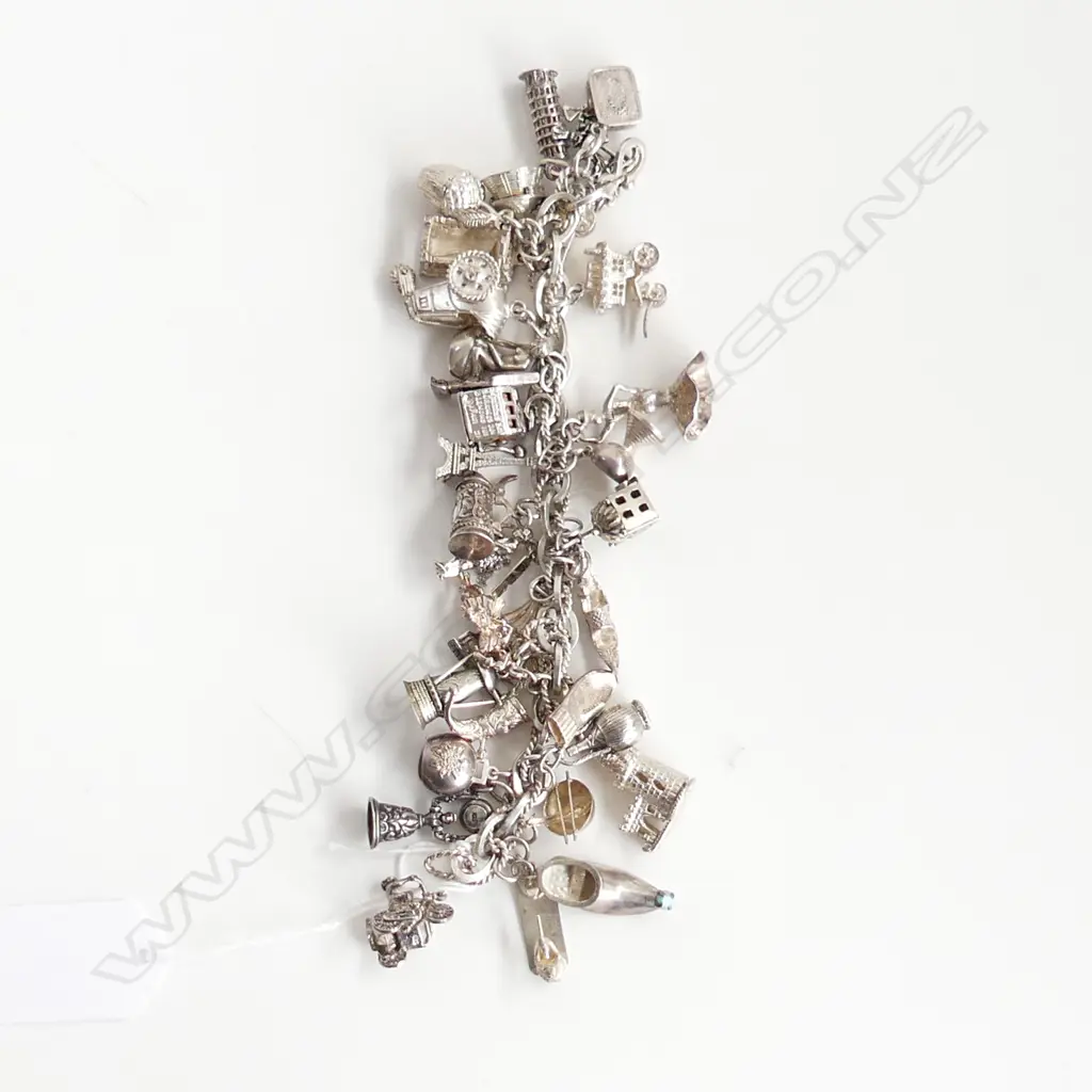SILVER CHARM BRACELET WITH 32 CHARMS 132gn Image 1++