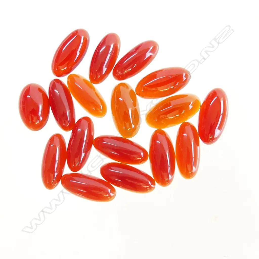 BAG OVAL CARNELIAN, ALL SAME SIZE Image 1++
