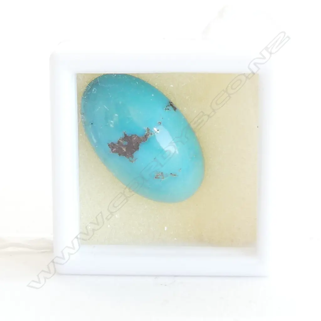 OVAL TURQUOISE, 11.8CT, 19 X 11 X 5MM Image 1++