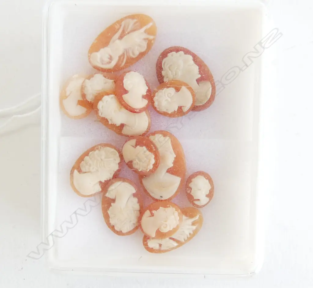BOX VINTAGE CARVED SHELL CAMEOS  Image 1++