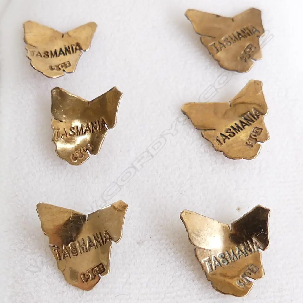 9CT GOLD SET OF 6 PLAQUES / PINS OF TASMANIA STAMPED 9CT 1.2 GRAMS Image 1++
