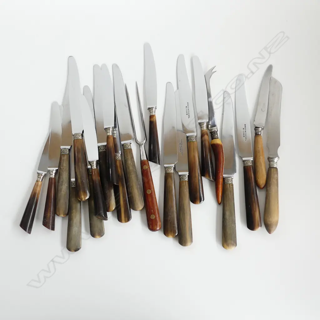 WOODEN HANDLE CUTLERY; 6 X GUSTAV EMIL ERN KNIVES,  12 X AMANN & FRIEDEL KNIVES  + 4 OTHER PCS  Image 1++