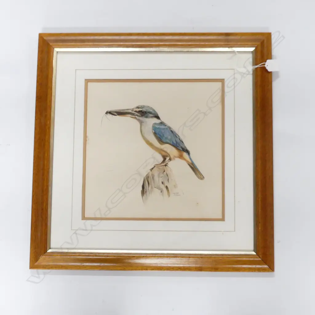 KINGFISHER SIGNED DRAWING 280x280mm Image 1++