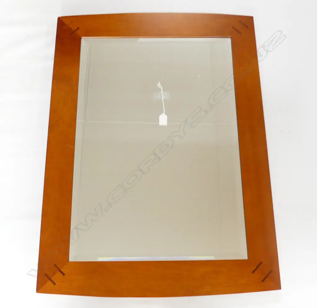 LG KAURI FRAMED MIRROR 670x930mm Image 1++