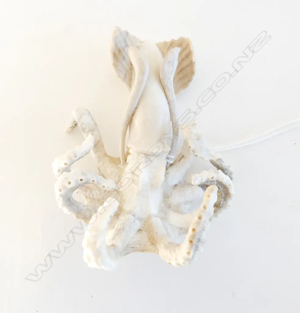 SECTIONAL CARVED WHALEBONE SQUID ORNAMENT fine detail. L.100mm. Image 1++