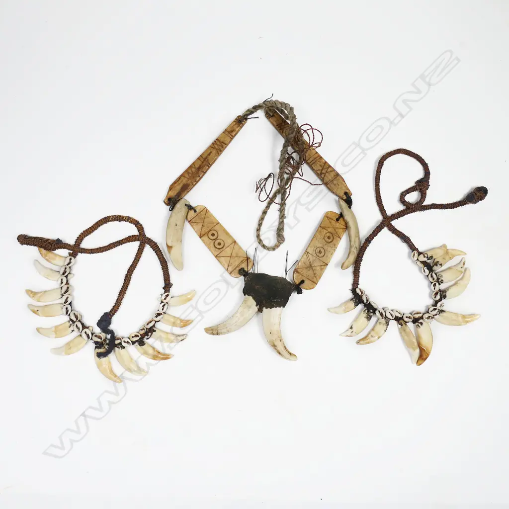 3 TOOTH & BONE NECKLACES, L.400-600mm Image 1++
