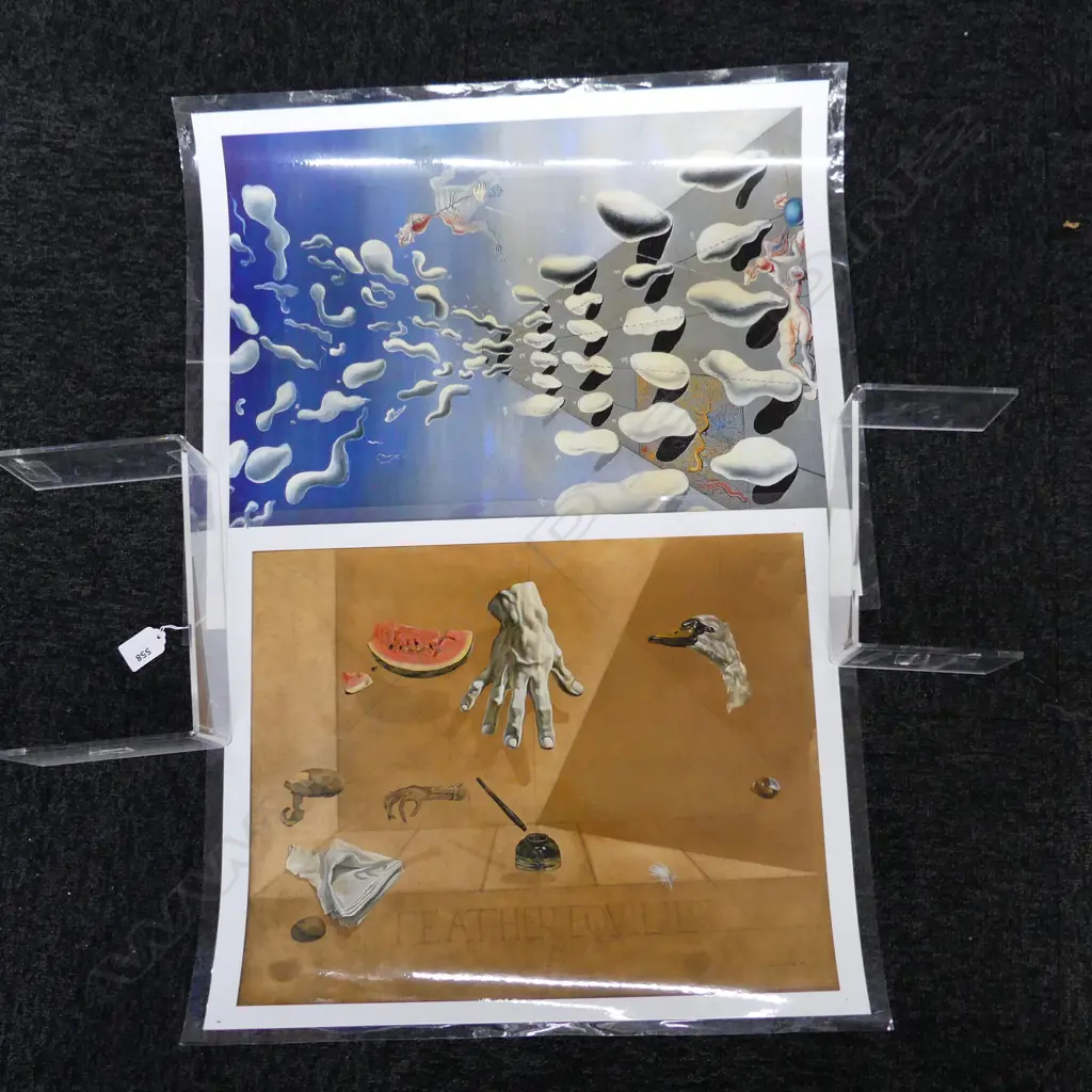 2 LAMINATED SALVIDOR DALI PRINTS Image 1++