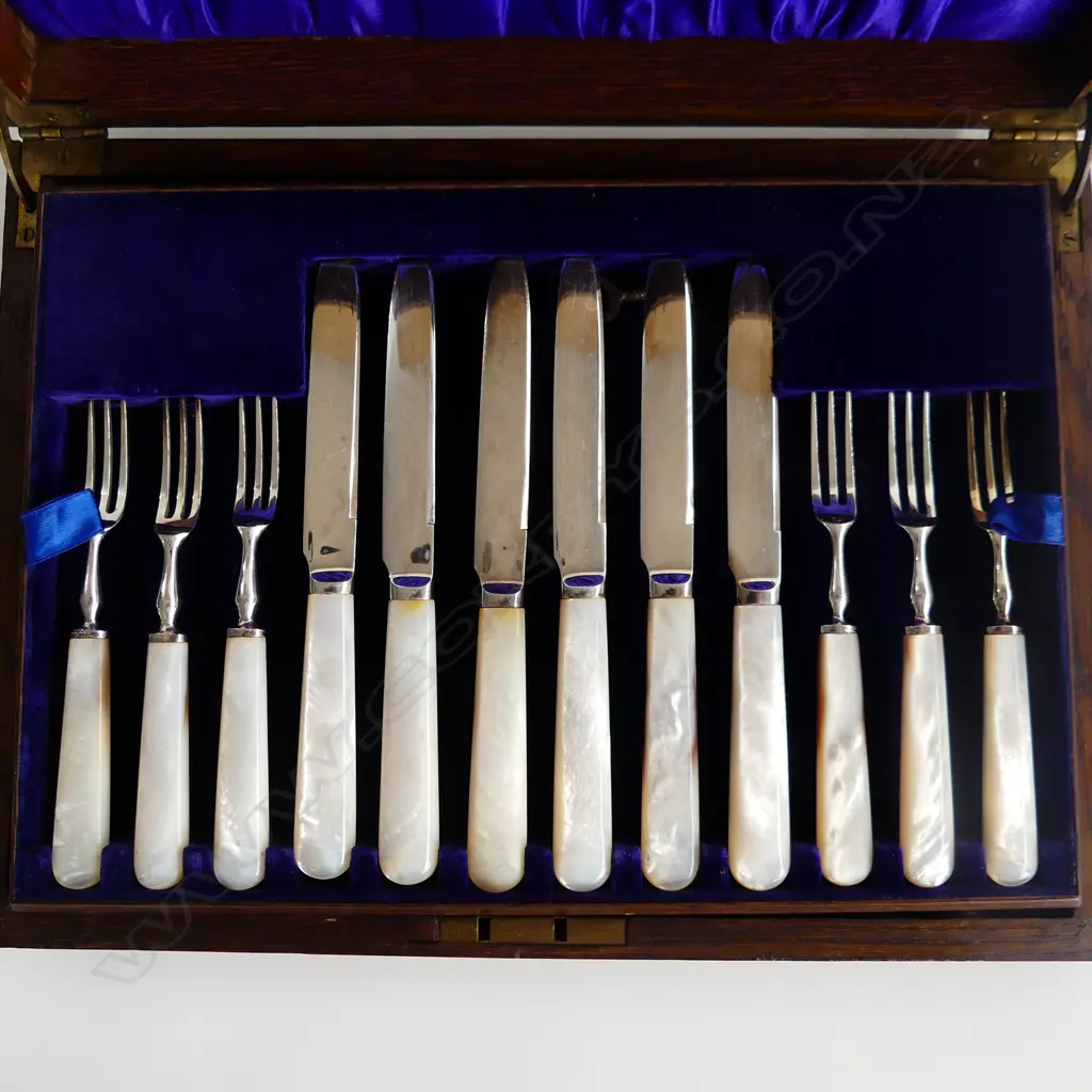 24 PCE MoP HANDLED FRUIT SET, CASED W.315mm Image 1++