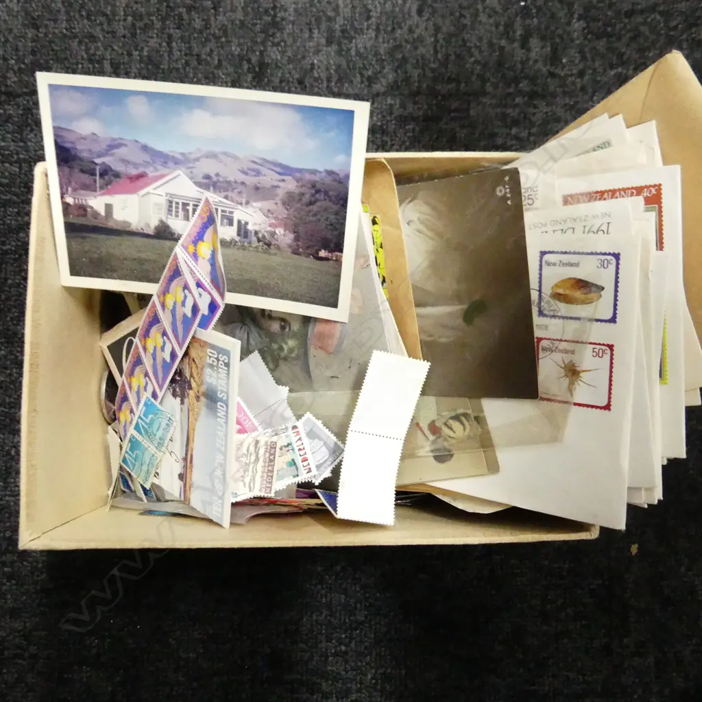 COIN / STAMP COLLECTION Image 1++