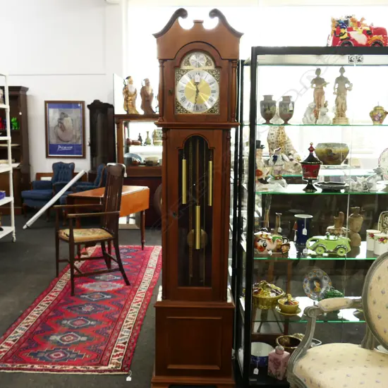 LONG CASE CLOCK 'TEMPUS FUGIT' H.1985mm - SCROLL REPAIRED