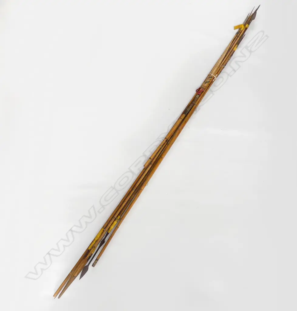 8 ASST SPEARS INCL  AFRICAN,  PNG ETC... Image 1++