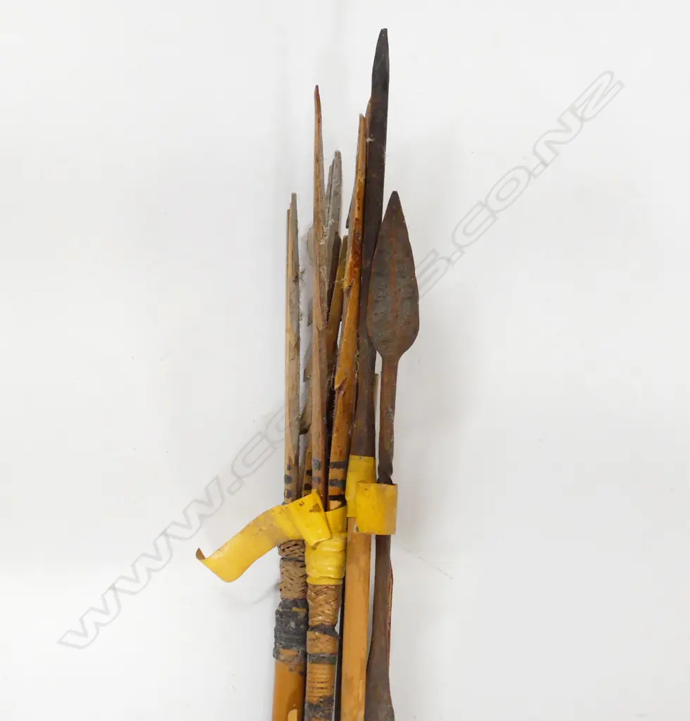 8 ASST SPEARS INCL  AFRICAN,  PNG ETC... Image 1++