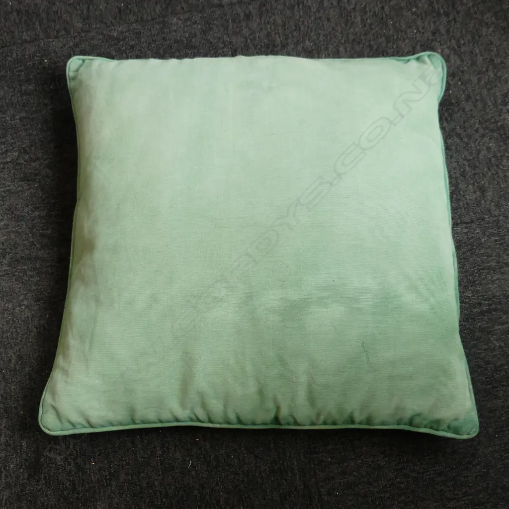 LG GREEN CUSHION - WITH LOT BX778-1 Image 1++