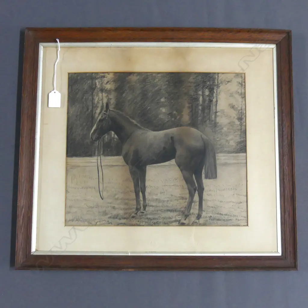ARTIST UNKNOWN, GROOMED HORSE, PENCIL SKETCH 320x370mm Image 1++