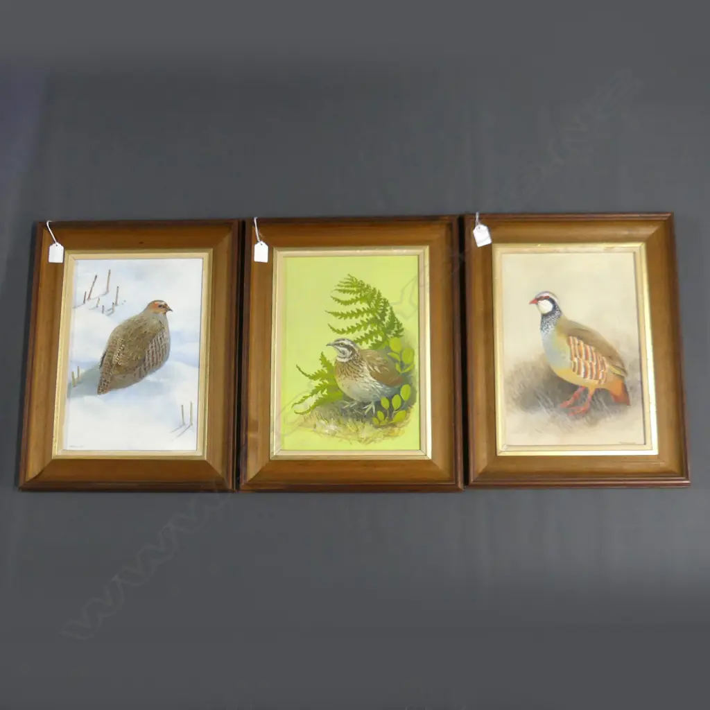 MARTIN WOODCOCK (UK 1935-2019) 3 QUAIL OILS 340x240mm Image 1++