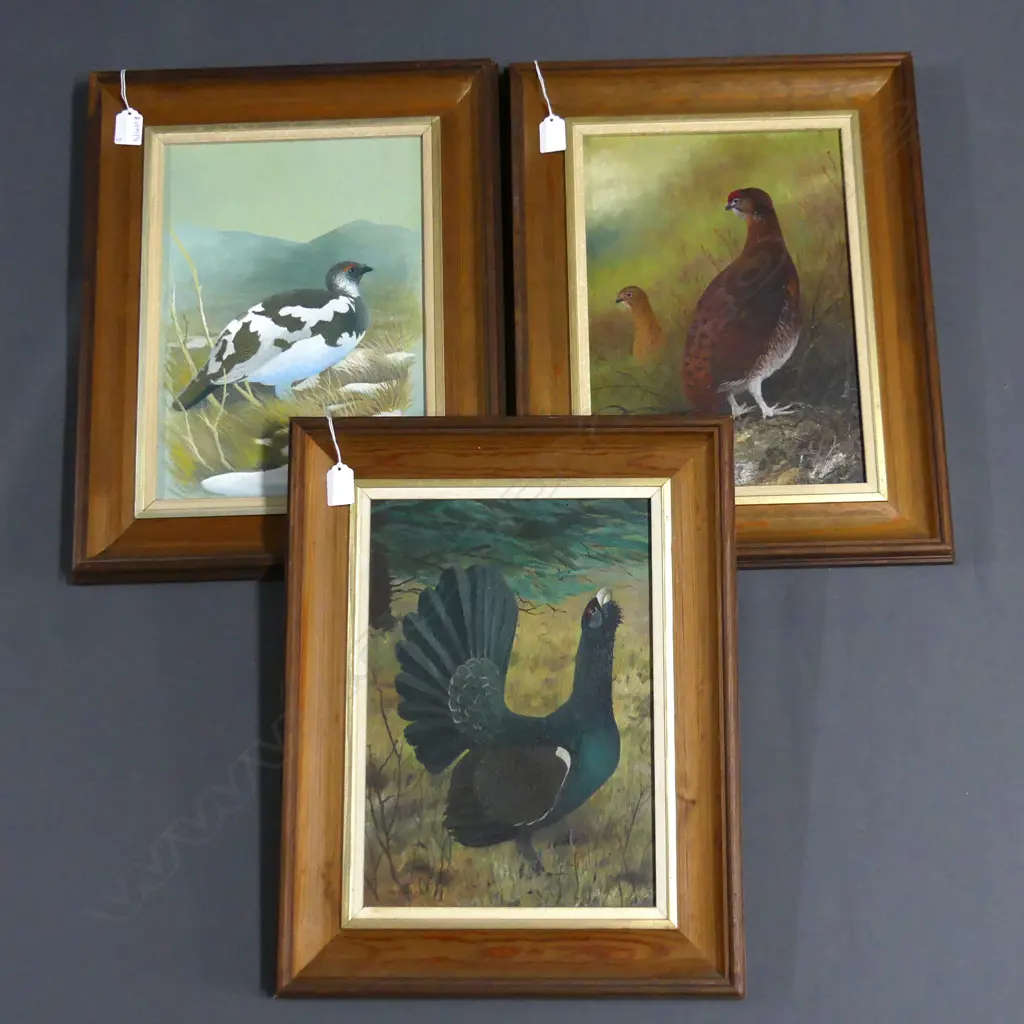 MARTIN WOODCOCK (UK 1935-2019) BIRD OILS 340x240mm Image 1++
