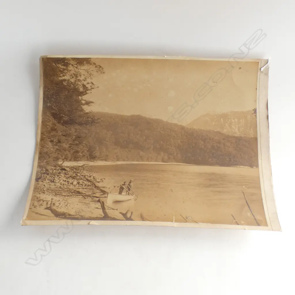 VINTAGE BURTON BROS. DUNEDIN LARGE PHOTO 'LAKE MANAPOURI FROM FAIRY COVE' Image 1++