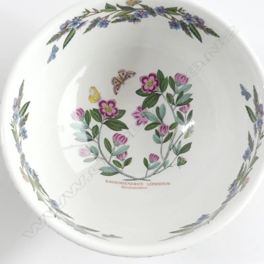2 PORTMEIRION BOTANIC GARDEN SALAD BOWLS DIA. 260 & 200MM Image 1++
