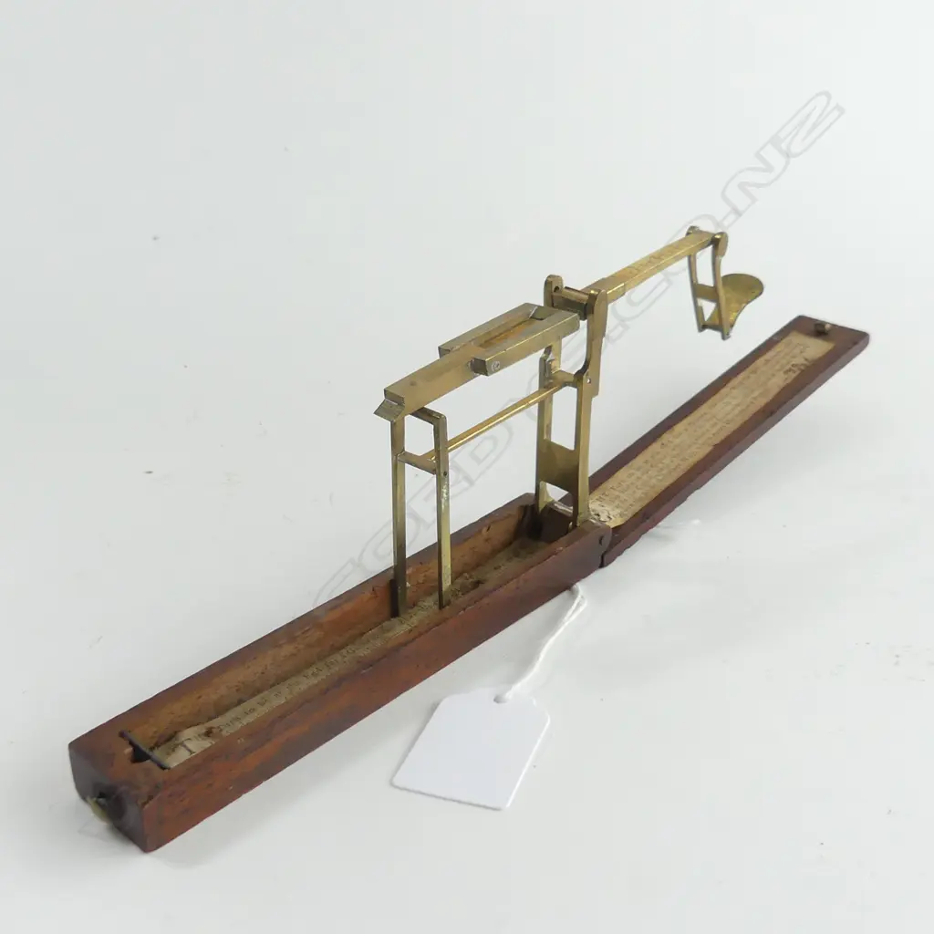 CASED BRASS GUINEA SCALES L 140 MM Image 1++