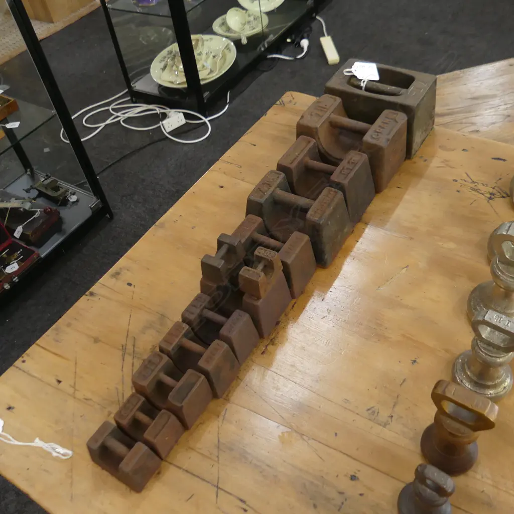 12 RICE LAKE CAST IRON WEIGHTS Image 1++