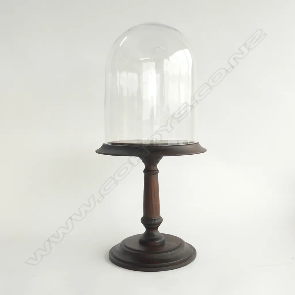 GLASS DOME ON STAND H.510mm Image 1++