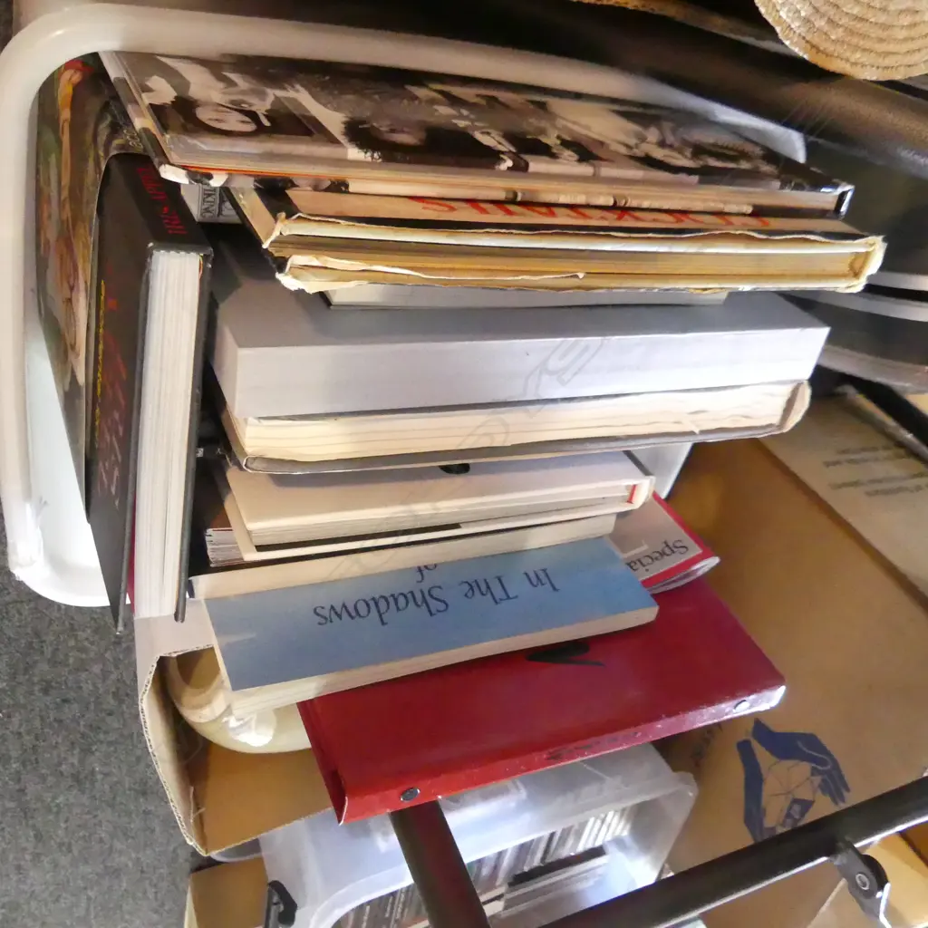 BOX ASST BOOKS;  MADONNA, MICHAEL JACKSON, IRIS APFEL ETC.. Image 1++