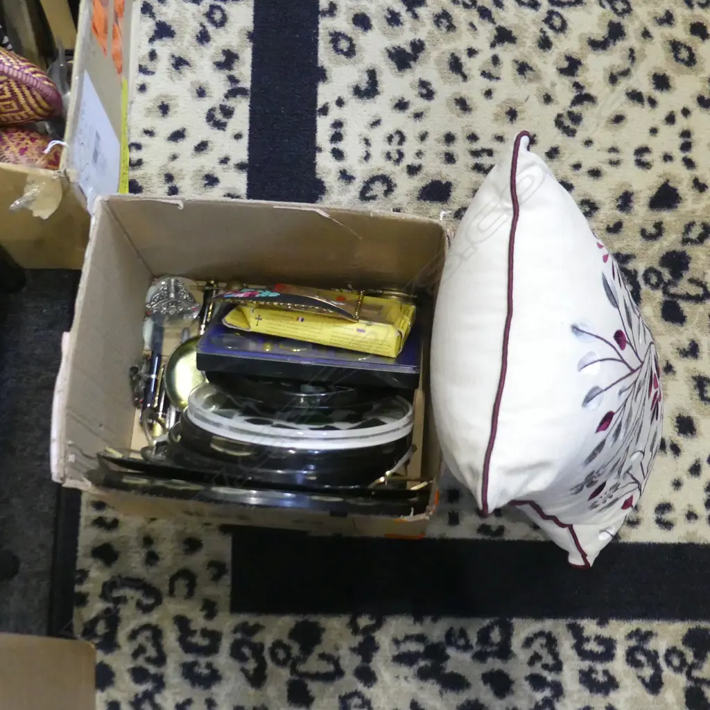 BOX LOT PAUA TRAYS, PENS, COINS ETC Image 1++