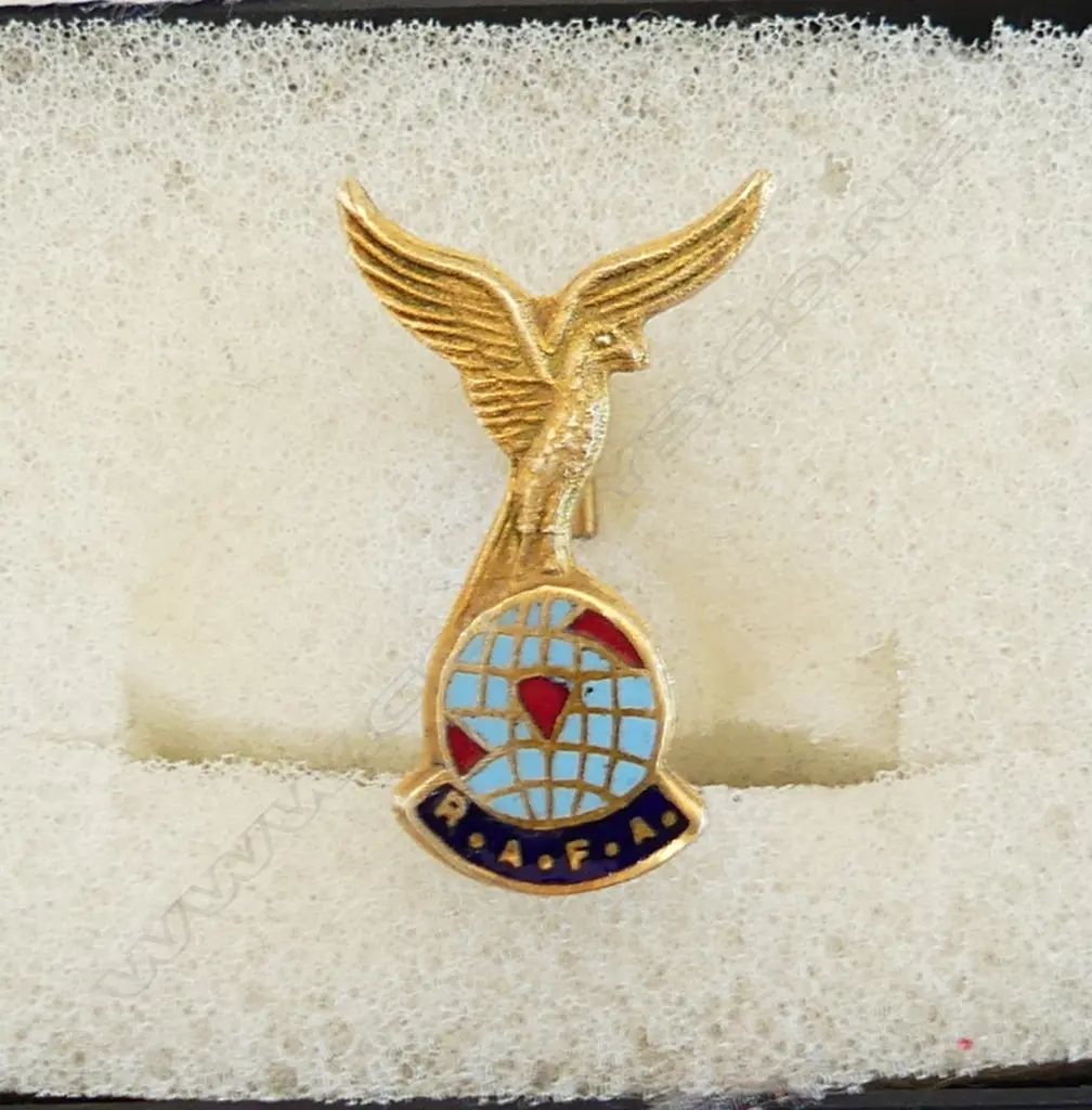 9CT GOLD PLATED & ENAMEL  RAFA, ROYAL AIR FORCE PIN, HALLMARKED Image 1++