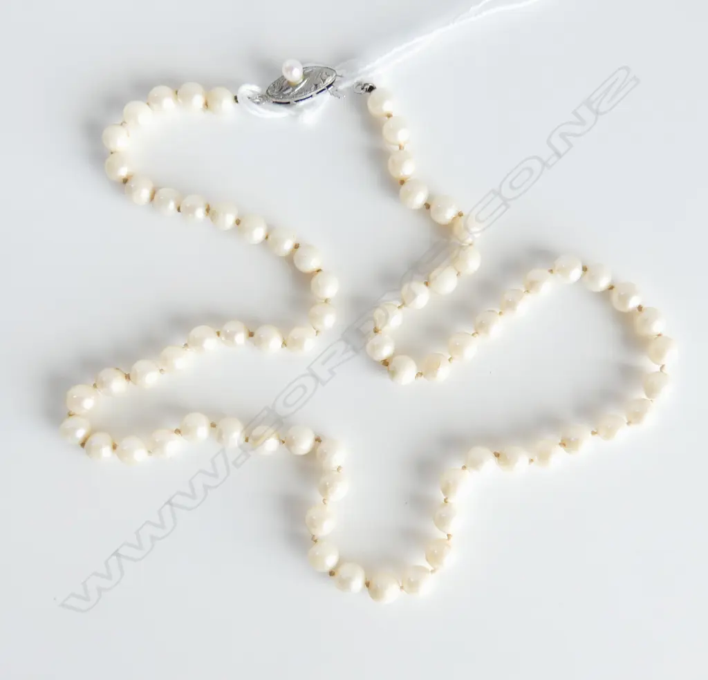 UNIFORM CULTURED PEARL NECKLACE silver clasp L.460mm Image 1++