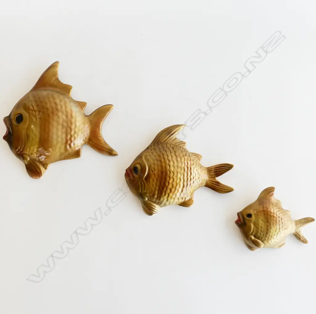 3 PAINTED PLASTER WALL FISH H.195mm Image 1++