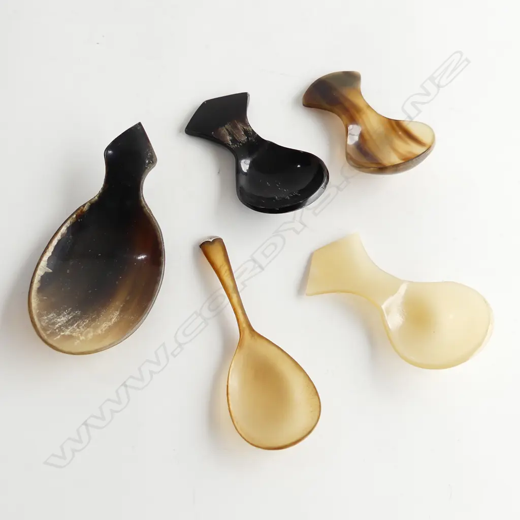5 ANTIQUE CARVED HORN TEA CADDY SPOONS Image 1++