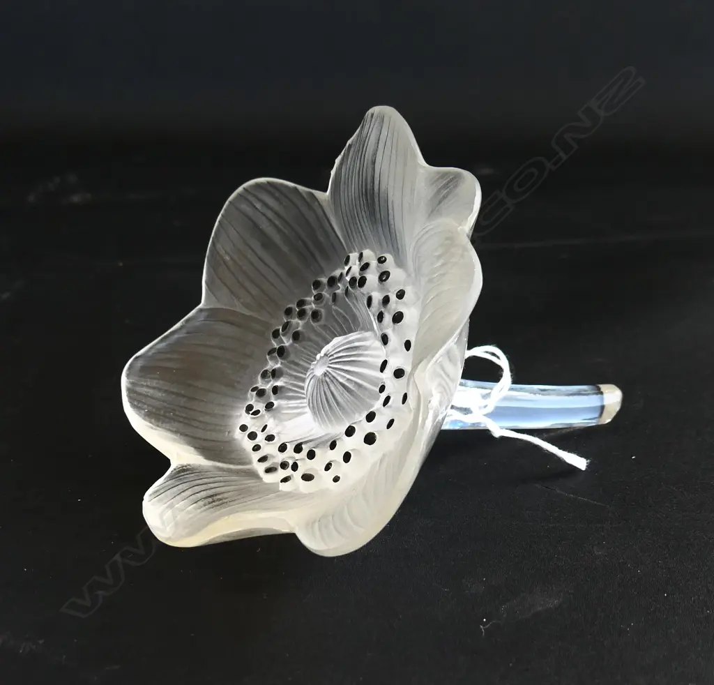 LALIQUE GLASS FROSTED  'ANEMONE', WITH BLACK STYME DETAIL & SIGNATURE TO STEM, 95 x 100mm  Image 1++