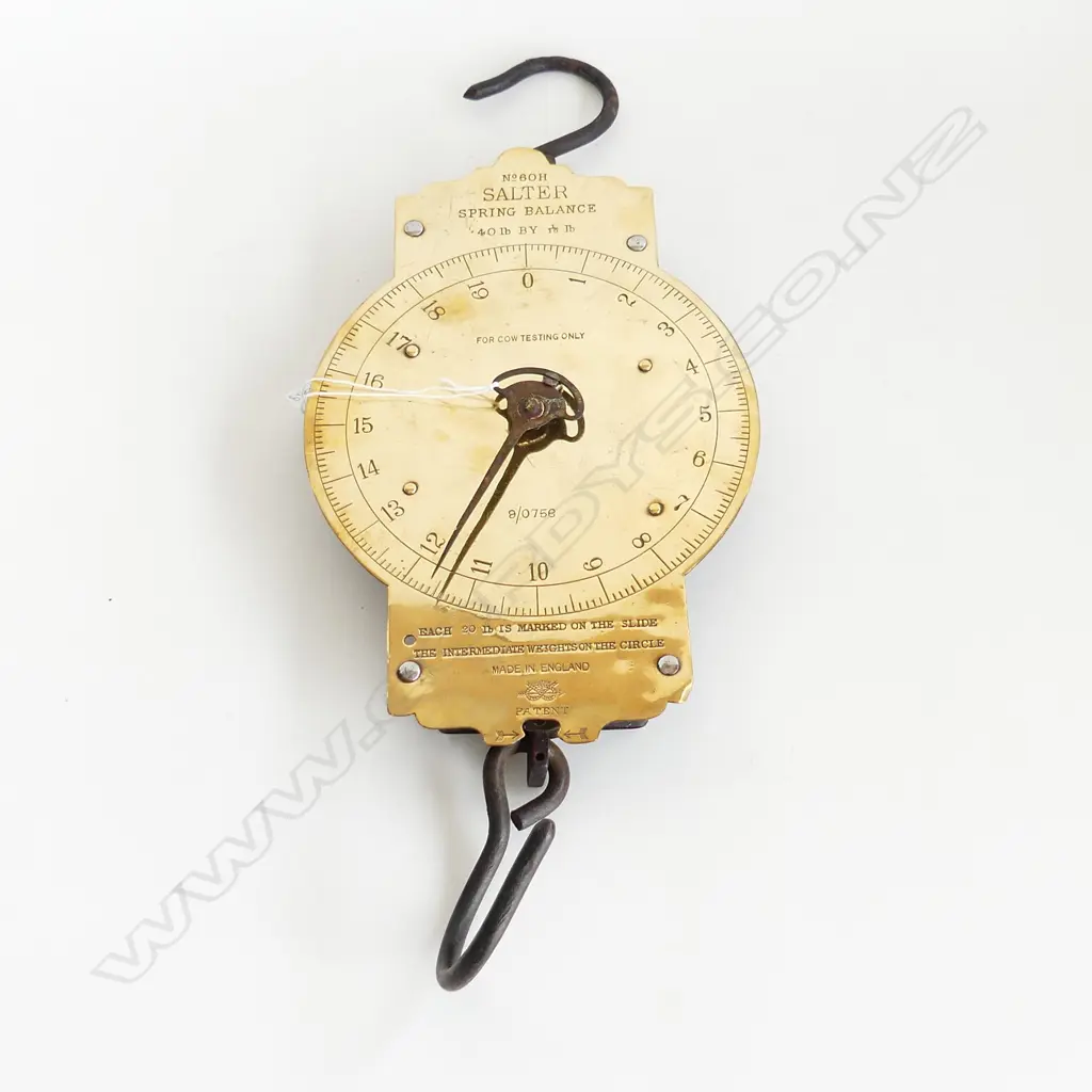 SALTER BRASS FLAT FRONT SPRING BALANCE H.450mm Image 1++